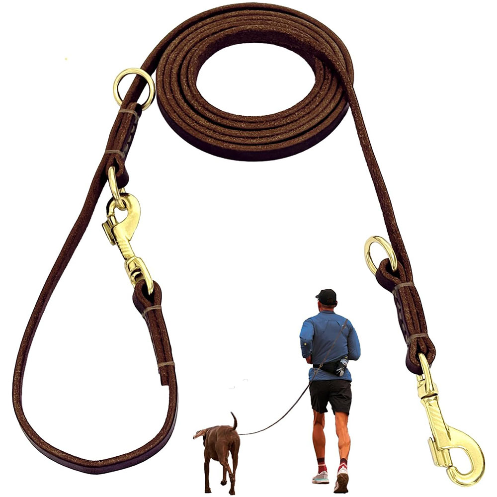 Multi Function Leather Dog Lea - Leather Strap Quick Release 리뷰 및 가격