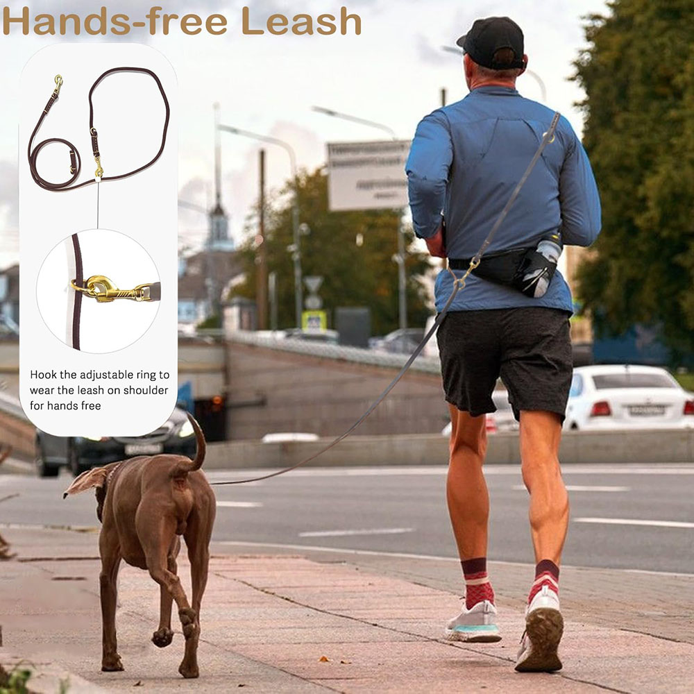 Multi Function Leather Dog Lea - Leather Strap Quick Release 리뷰 및 가격